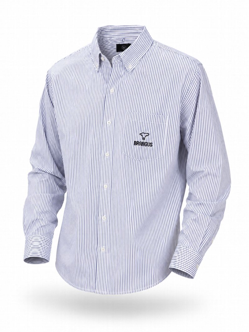 Camisa de vestir rayada azul Brangus