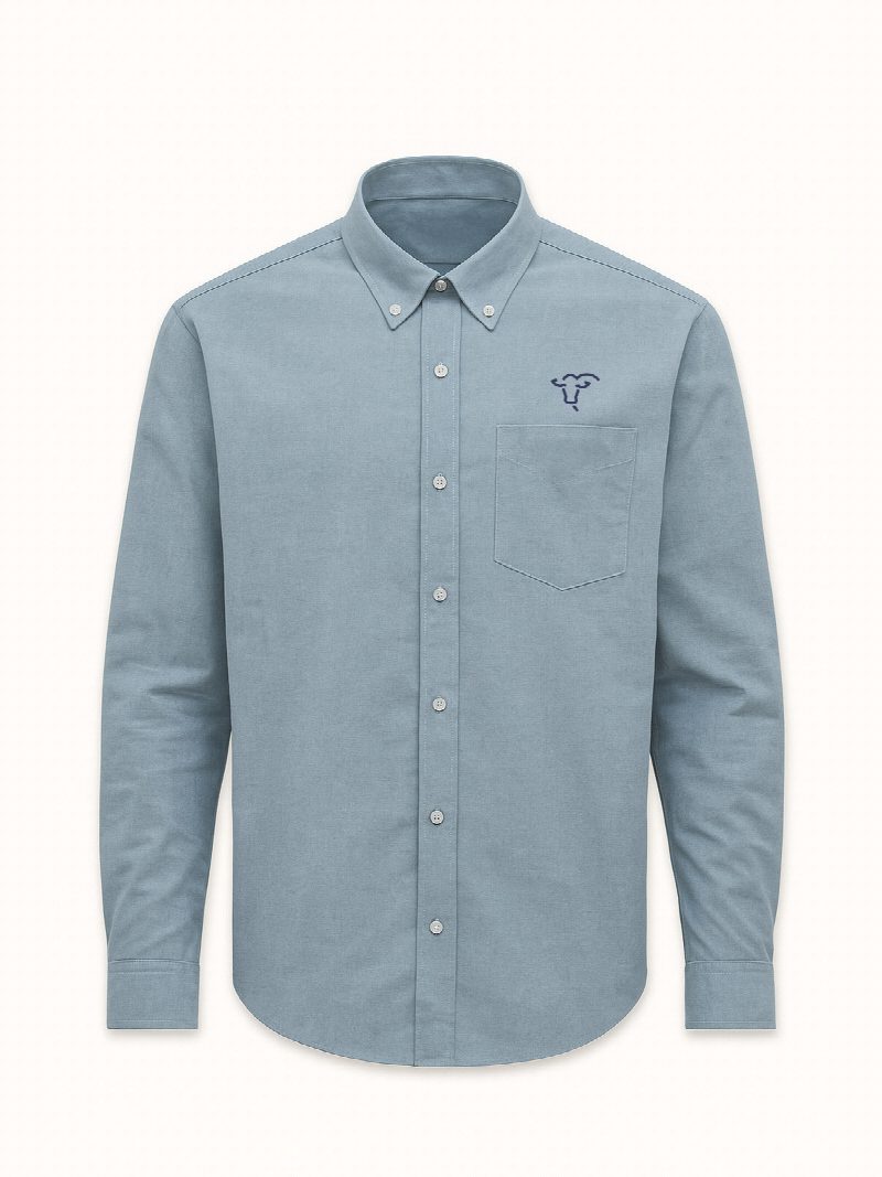 Camisa oxford celeste BRANGUS