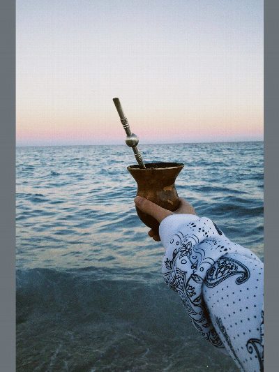 Mate el zorzal
