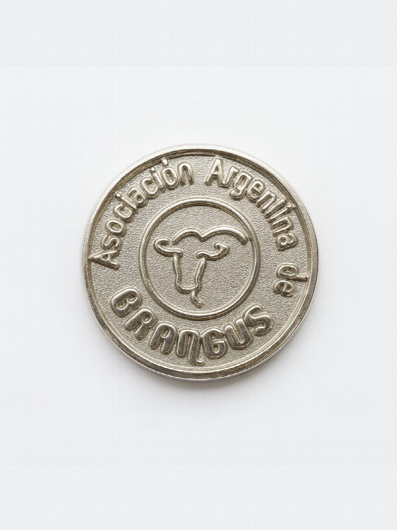Pin de fundicion BRANGUS