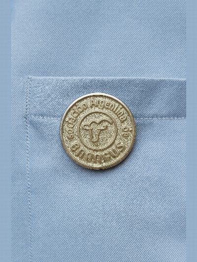 Pin de fundicion BRANGUS