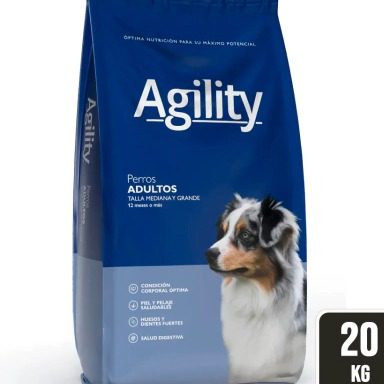 PERRO ADULTO MEDIANO Y GRANDE