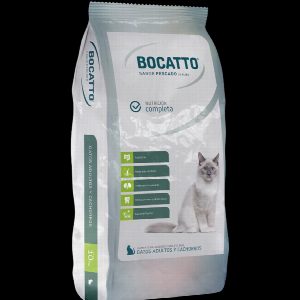 GATO TODAS LAS EDADES