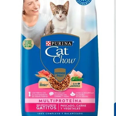 GATITOS PESCADO CARNE Y VEGETALES