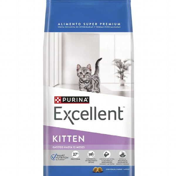 KITTEN 