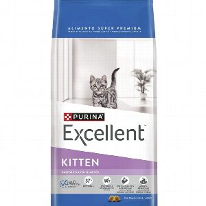 KITTEN 