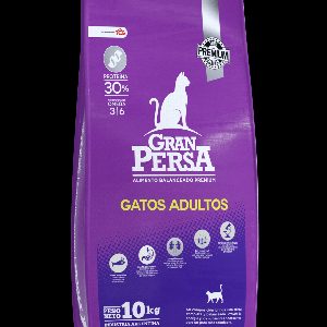 GATO ADULTO