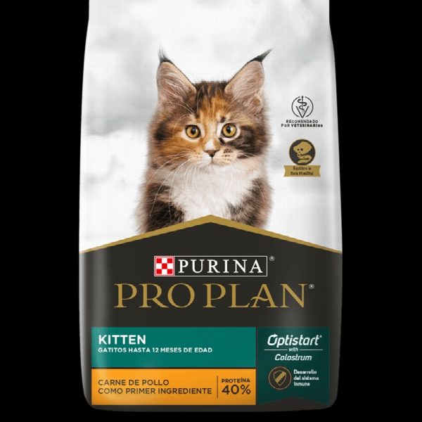KITTEN - 1kg