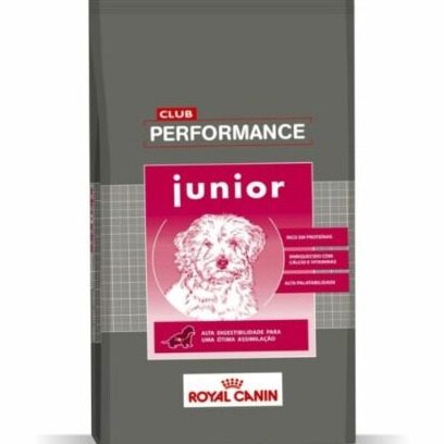 PERFORMANCE PERRO JUNIOR