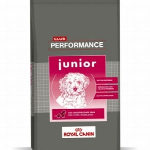 PERFORMANCE PERRO JUNIOR