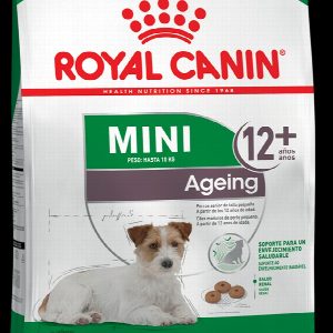 PERRO MINI +12 HASTA 10KG - 3kg
