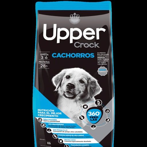 CACHORROS 