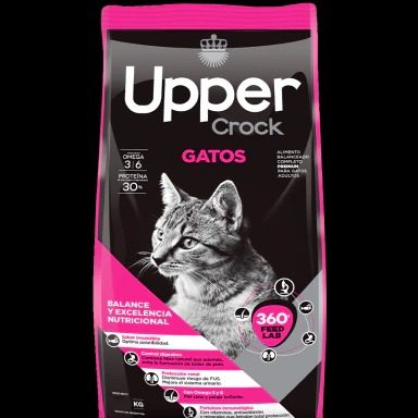 GATO ADULTO